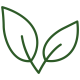 herbs